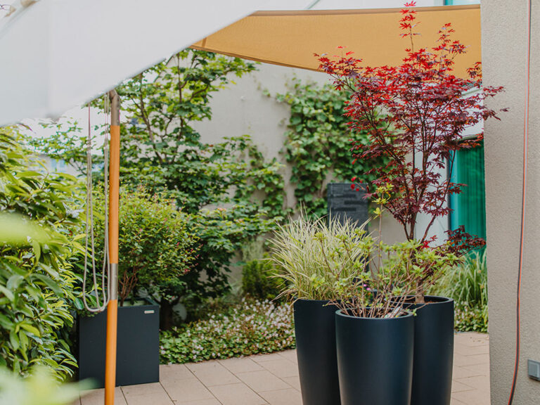 Gartenanlage und Dachterrasse eines Reihenhauses in Dresden-Neustadt