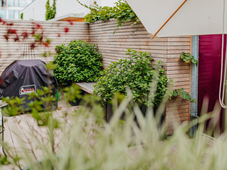 Gartenanlage und Dachterrasse eines Reihenhauses in Dresden-Neustadt