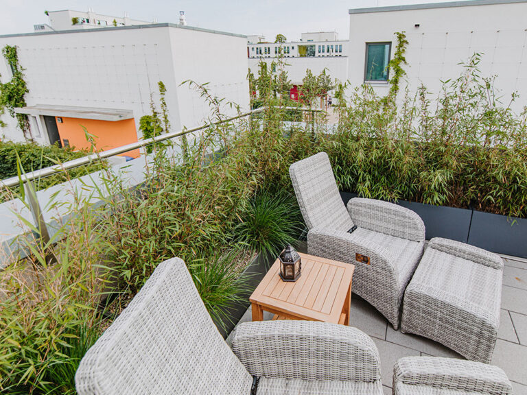 Gartenanlage und Dachterrasse eines Reihenhauses in Dresden-Neustadt