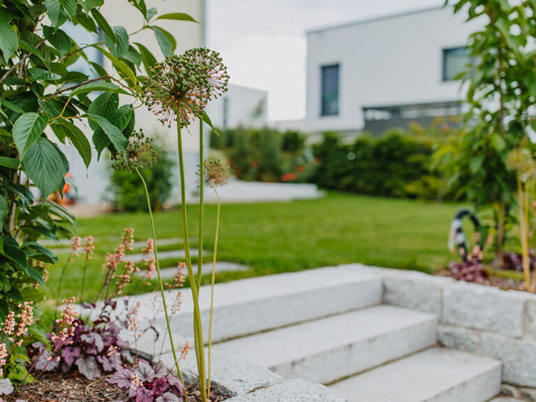 Neugestaltung eines Gartens zum EFH in Dresden-Nord