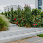 Neugestaltung eines Gartens zum EFH in Dresden-Nord